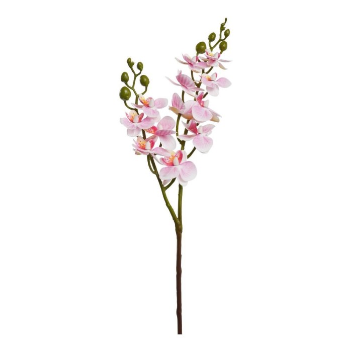 MINI PHALENO X 2 ROSA